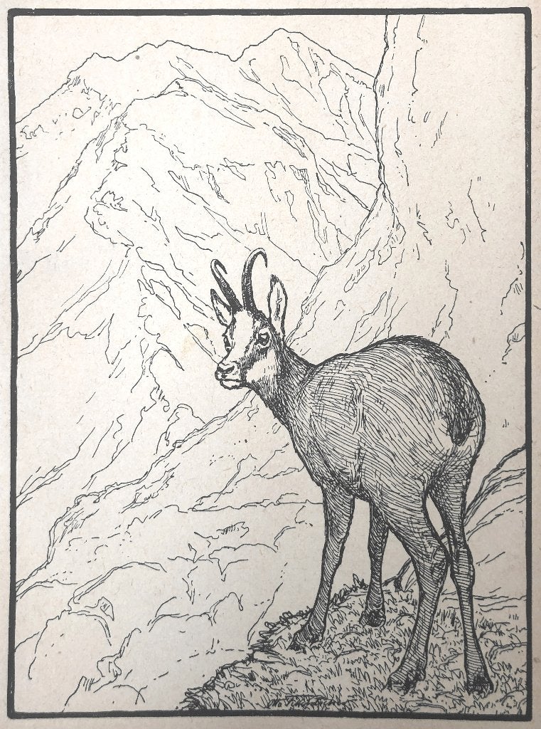 Mooie, betaalbare kunst v/h Grafiekkabinet Otto Fikentscher, Ophalen of Verzenden