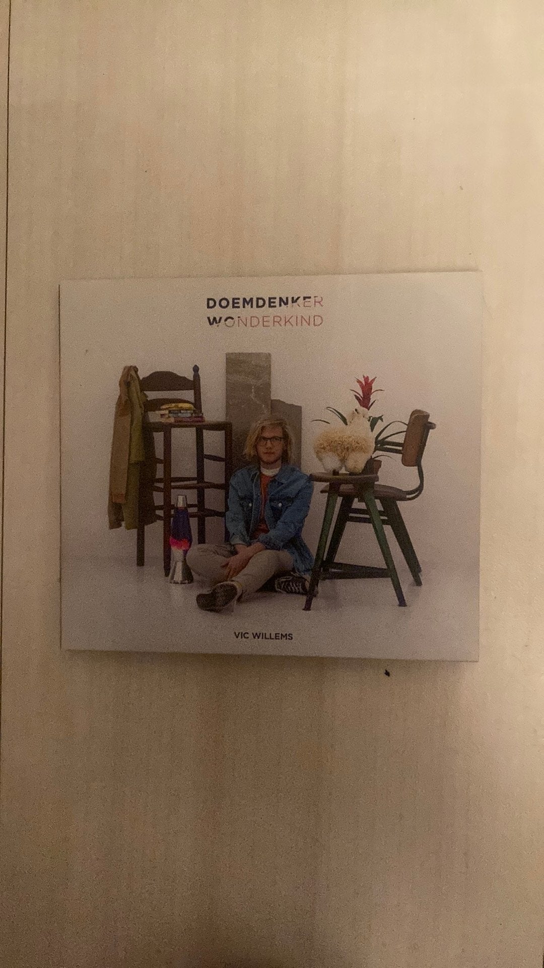 Vic Willems - doemdenker wonderkind (singer-songwriter), Ophalen of Verzenden, Zo goed als nieuw, Overige genres