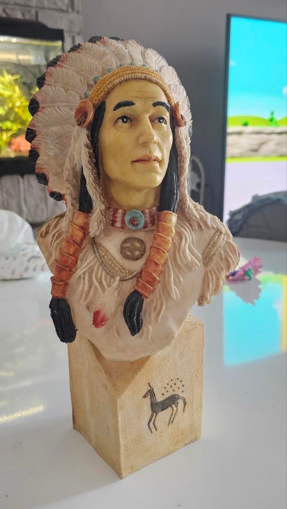 Buste van indianenhoofd, Ophalen of Verzenden, Zo goed als nieuw, Dier