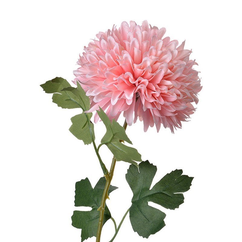 DAHLIA - KUNST - CLAYRE & EEF