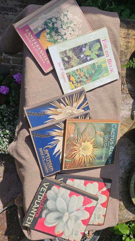 VERKADE PLAATJES ALBUMS, Verzenden, Gelezen