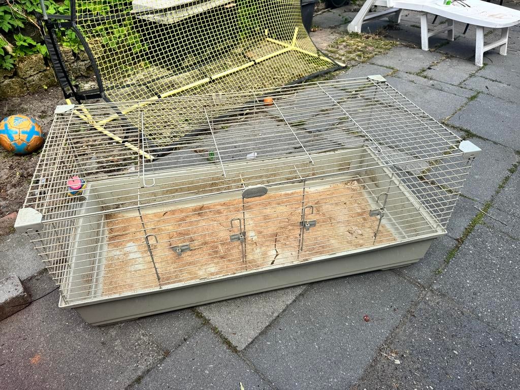 Knaagdieren kooi, Dieren en Toebehoren, Knaagdieren en Konijnen | Hokken en Kooien, Kooi, Cavia, Ophalen, Minder dan 60 cm