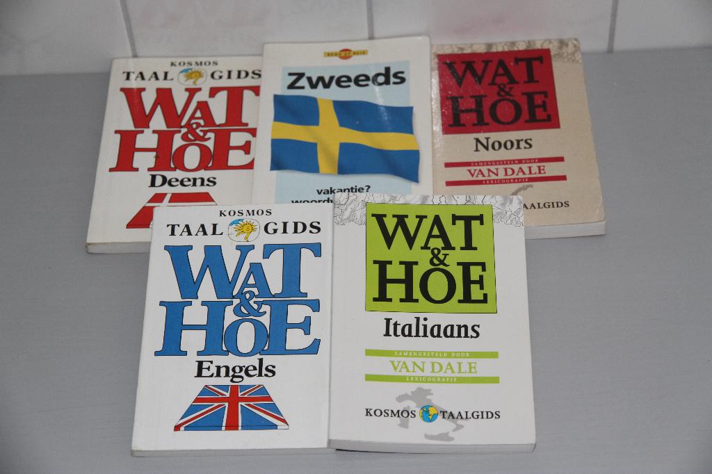 Taalgidsen Deens, Zweeds, Noors, Engels, Italiaans, Boeken, Europa, Ophalen of Verzenden, Taalgids, Gelezen