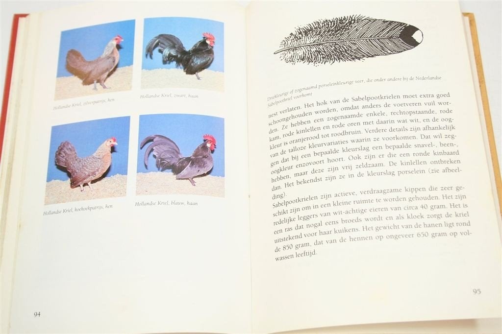Kippen Nederland — Rassen & Verzorging Handboek, Ophalen of Verzenden, Gelezen, Vogels