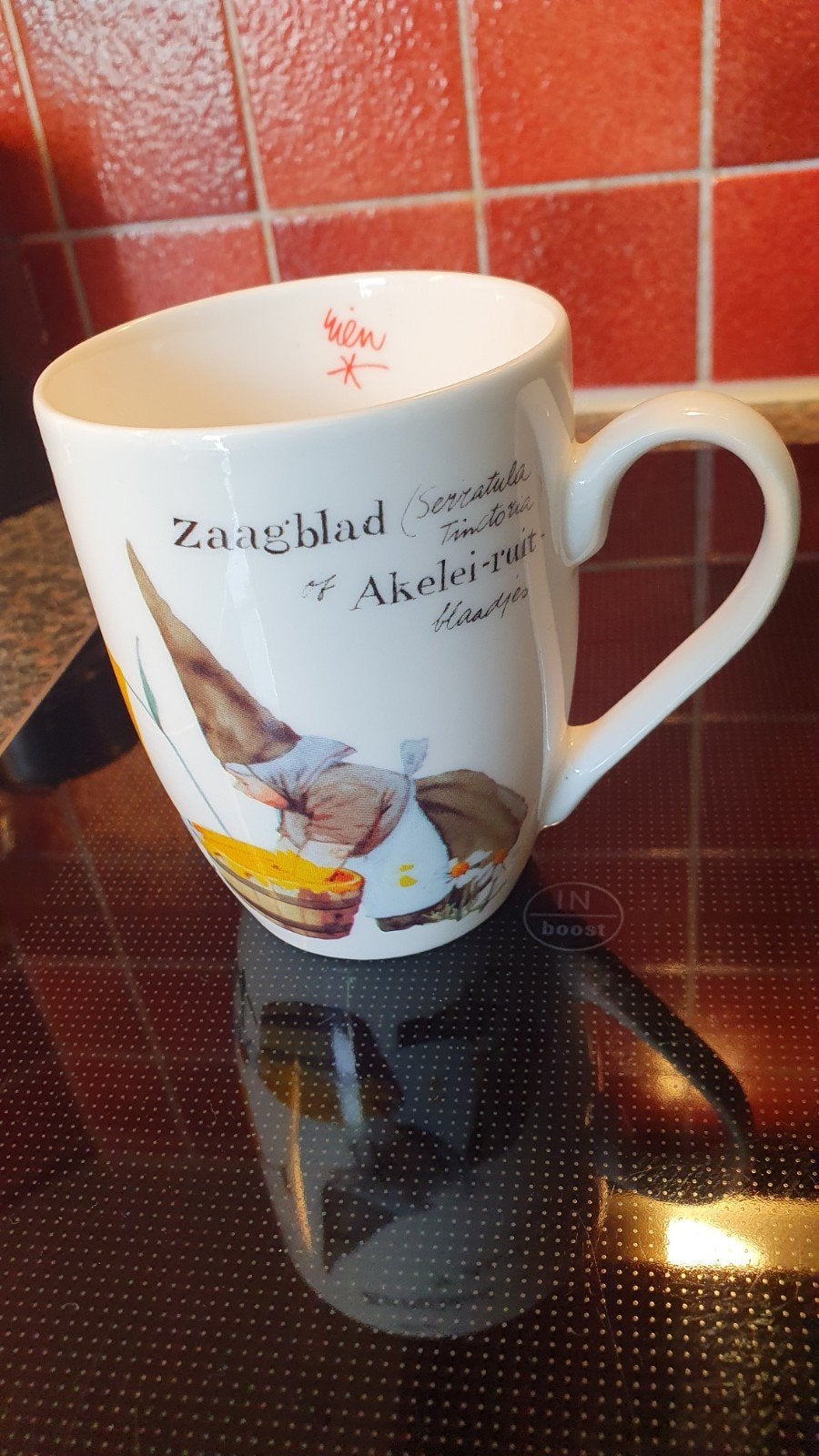 Rien Poortvliet Mok met kabouter en plantenprint, Overige typen, Ophalen of Verzenden, Zo goed als nieuw, Steen/keramiek