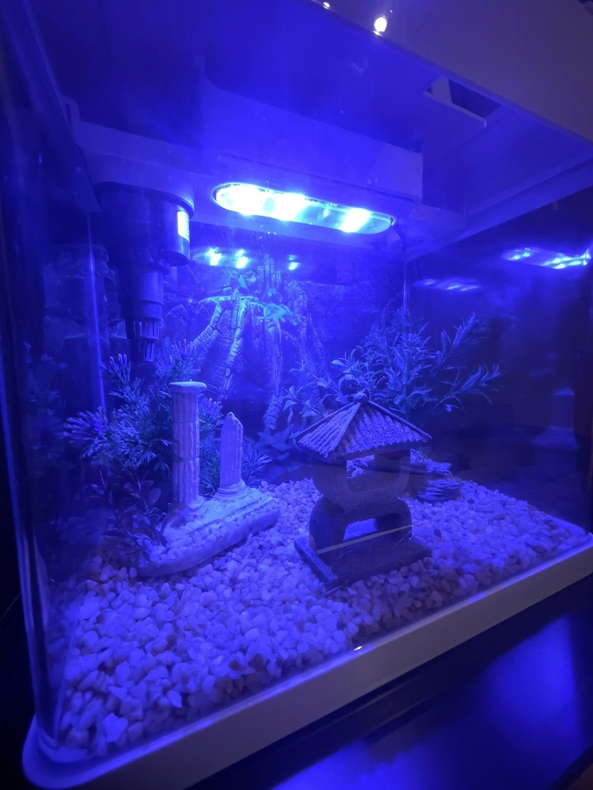Aquarium 17L, Dieren en Toebehoren, Vissen | Aquaria en Toebehoren, Ophalen, Zo goed als nieuw, Leeg aquarium
