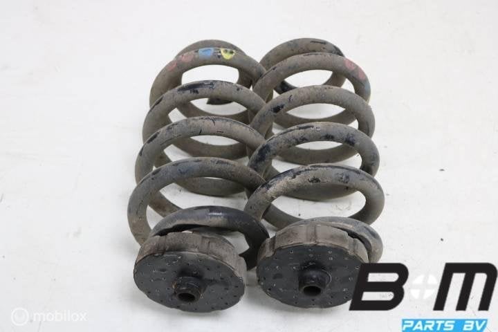 Set achterveren Audi A6 4F Avant ?