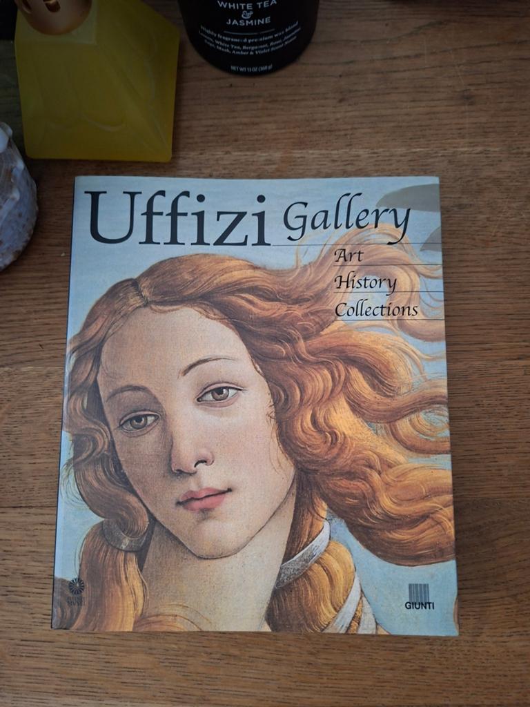 Uffizi gallery art history collections kunst boek, Verzenden, Zo goed als nieuw, Schilder- en Tekenkunst