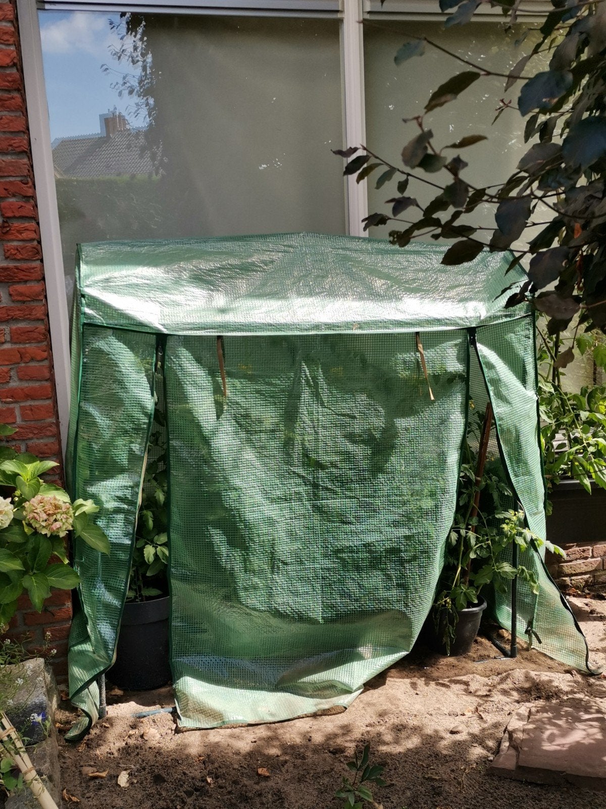 moestuin tent eventueel inclusief een grote tomatenplant, Tuin en Terras, Kassen, Ophalen