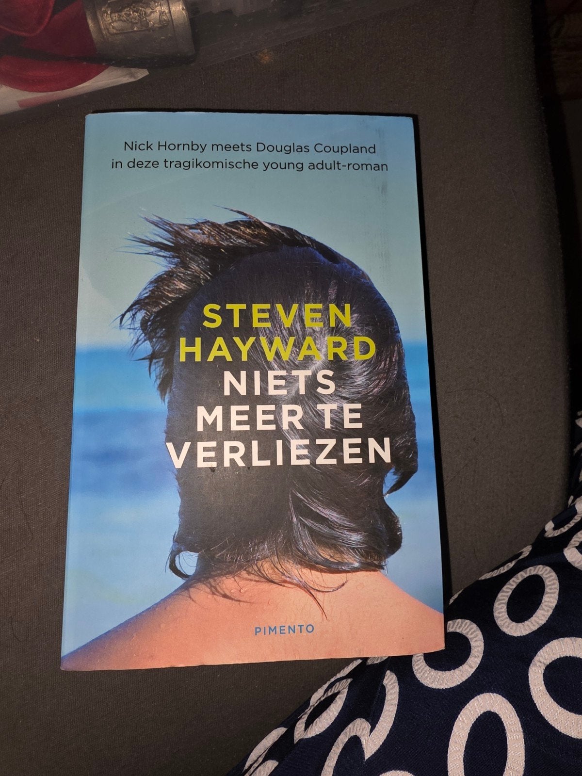 Steven Hayward - Niets Meer Te Verliezen (Young Adult), Ophalen of Verzenden, Zo goed als nieuw, Steven Hayward, Nederland