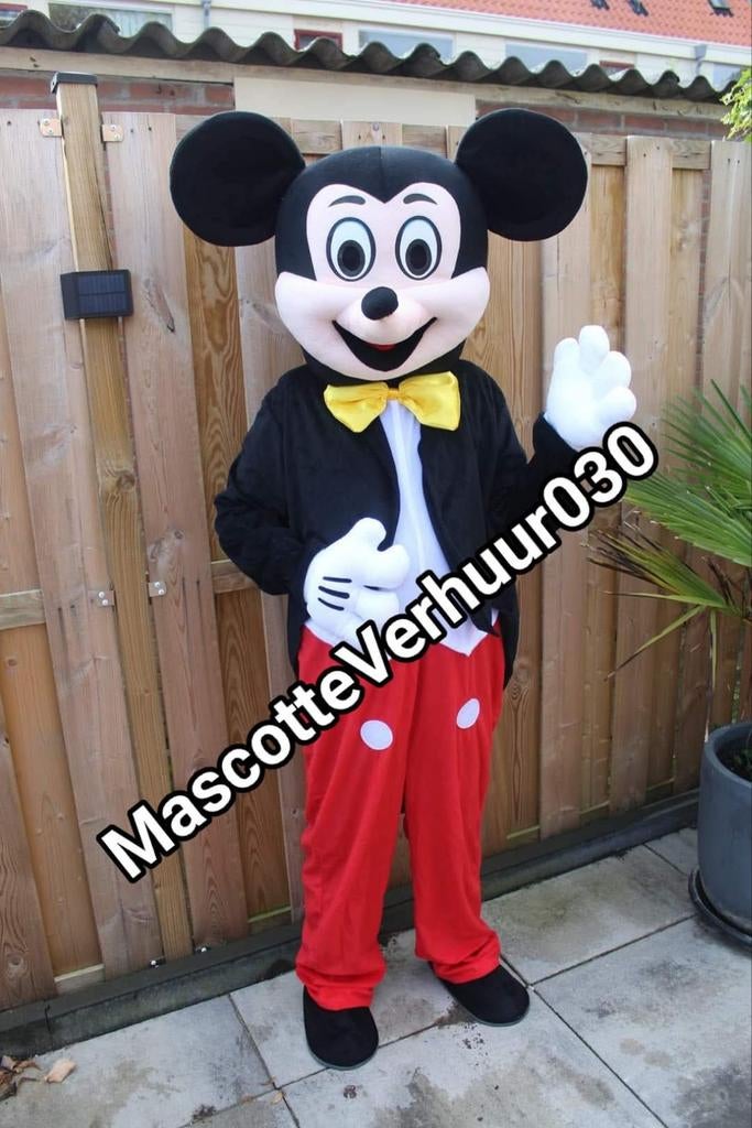 Mickey huren verjaardag feest mascotte of kostuum pak huren, Ophalen, Zo goed als nieuw, Verjaardag