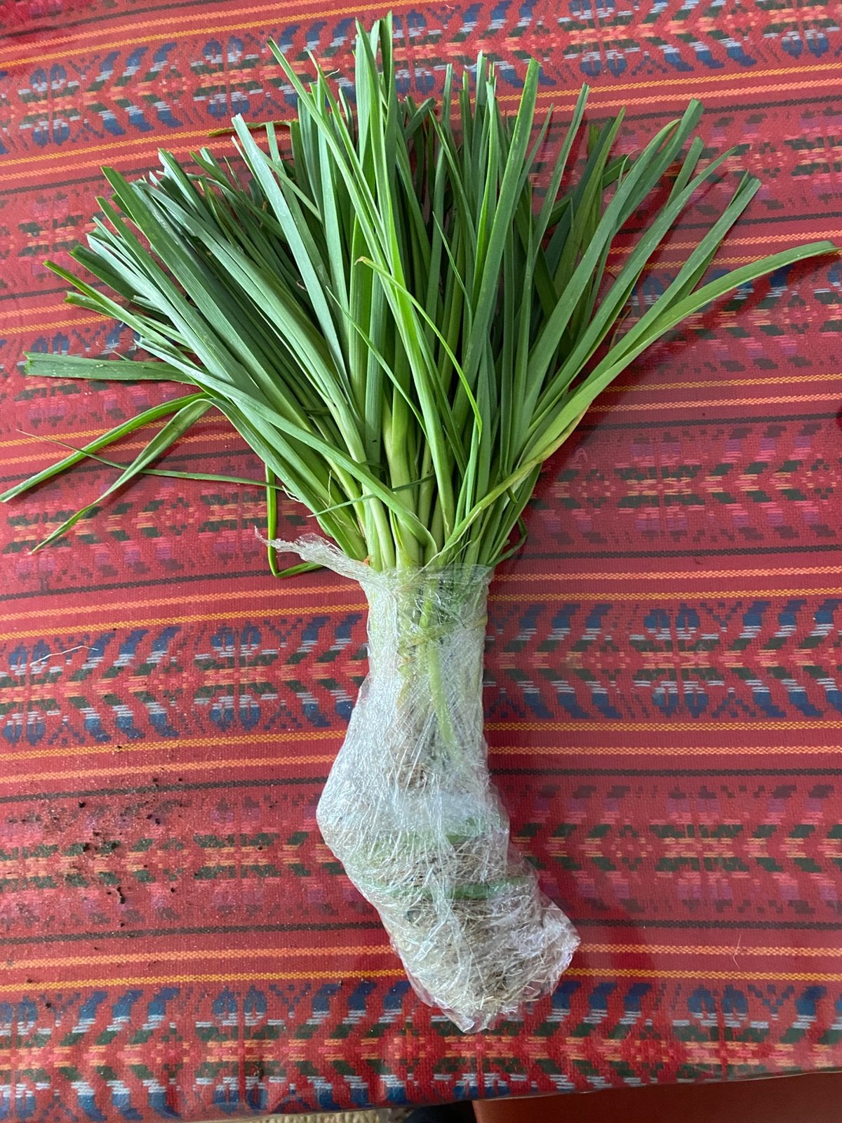Preiplanten, Tuin en Terras, Planten | Tuinplanten, Ophalen, Volle zon, Groenteplanten, Tweejarig