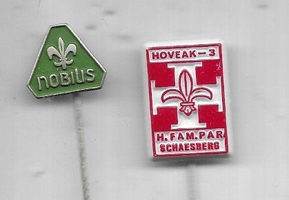 2 X SCOUTING SPELDEN, Verzamelen, Speldjes, Pins en Buttons, Ophalen of Verzenden, Gebruikt, Overige onderwerpen, Speldje of Pin