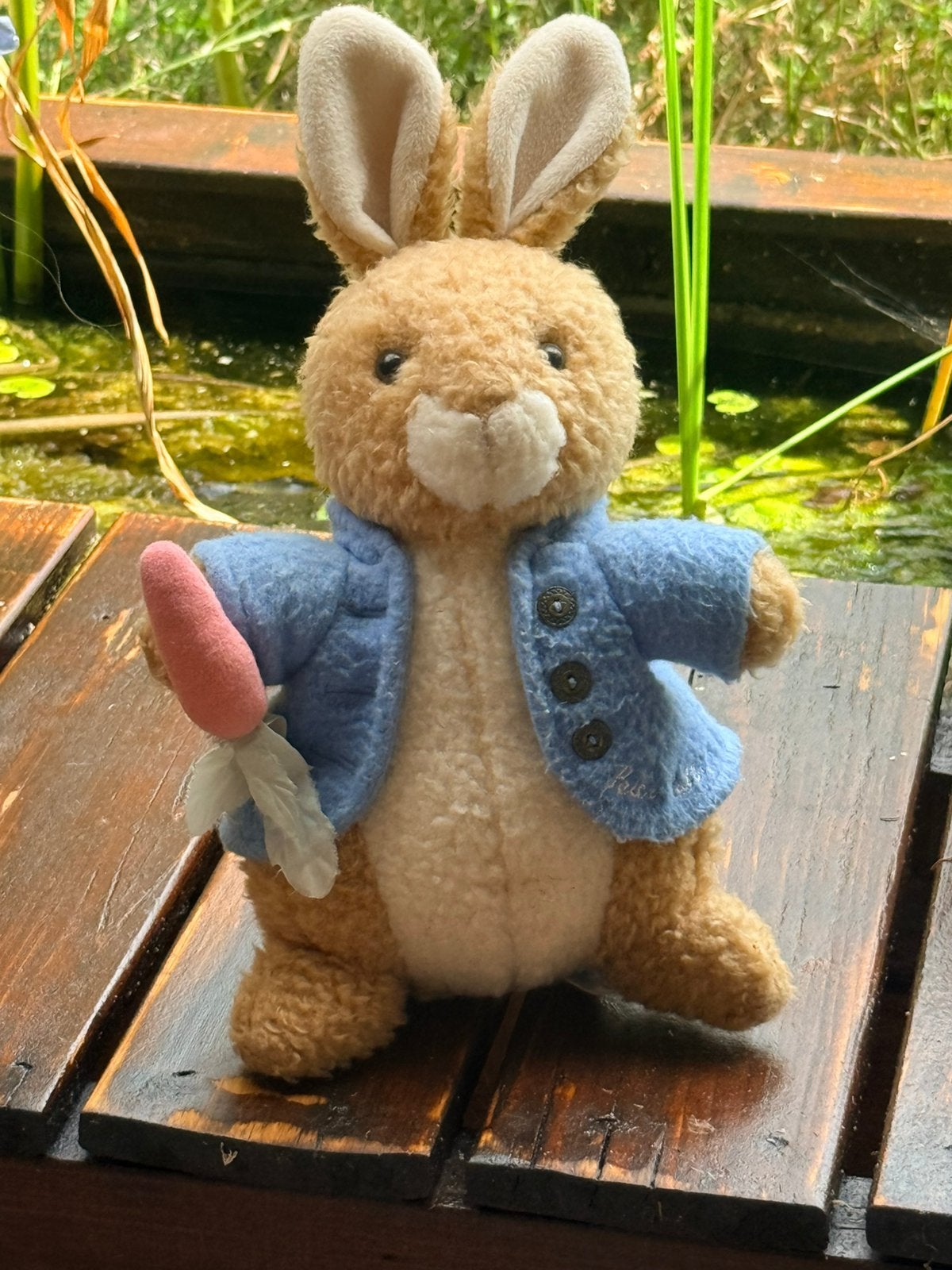 Vintage Beatrix Potter | Peter Rabbit muziekknuffel –m, Gebruikt, Overige merken, Met geluid, Overige karakters