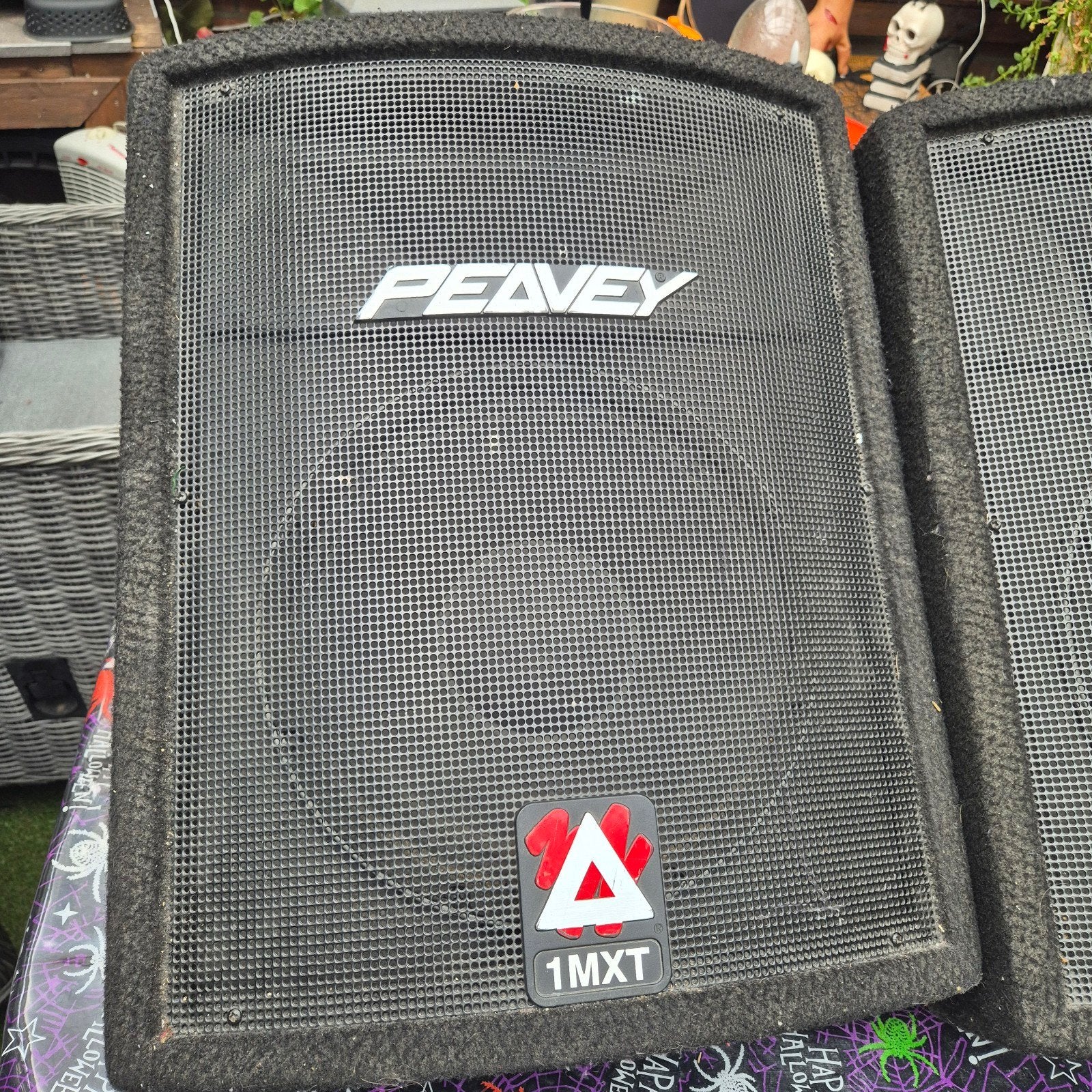 Peavey  Speakers, Audio, Tv en Foto, Speakerset, Zo goed als nieuw, Ophalen, 150 watt of meer
