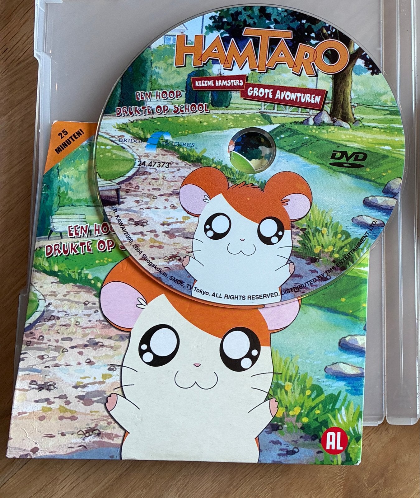 Hamtaro: Een Hoop Drukte op School DVD - Kleine Hamsters, Gebruikt, Animatie, Alle leeftijden, Ophalen of Verzenden