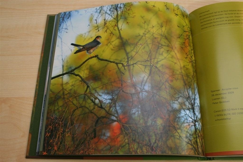 Birdpix 6: Vogels Fotograferen — 88 Tips voor Vogelgebieden, Ophalen of Verzenden, Zo goed als nieuw, Vogels