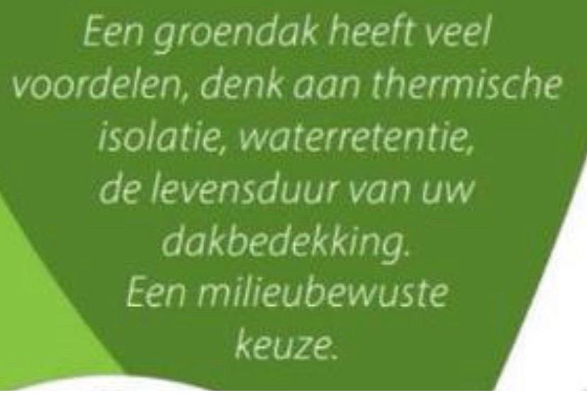 Sedum groendak wij leveren alles voor uw sedum dak, Tuin en Terras, Ophalen of Verzenden, Volle zon