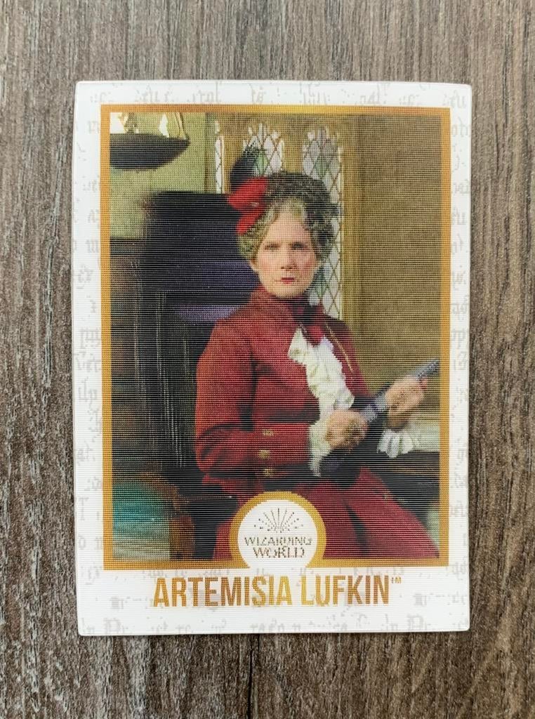 Harry Potter: Wizarding World (Artemisia Lufkin) Plaatje, Ophalen of Verzenden