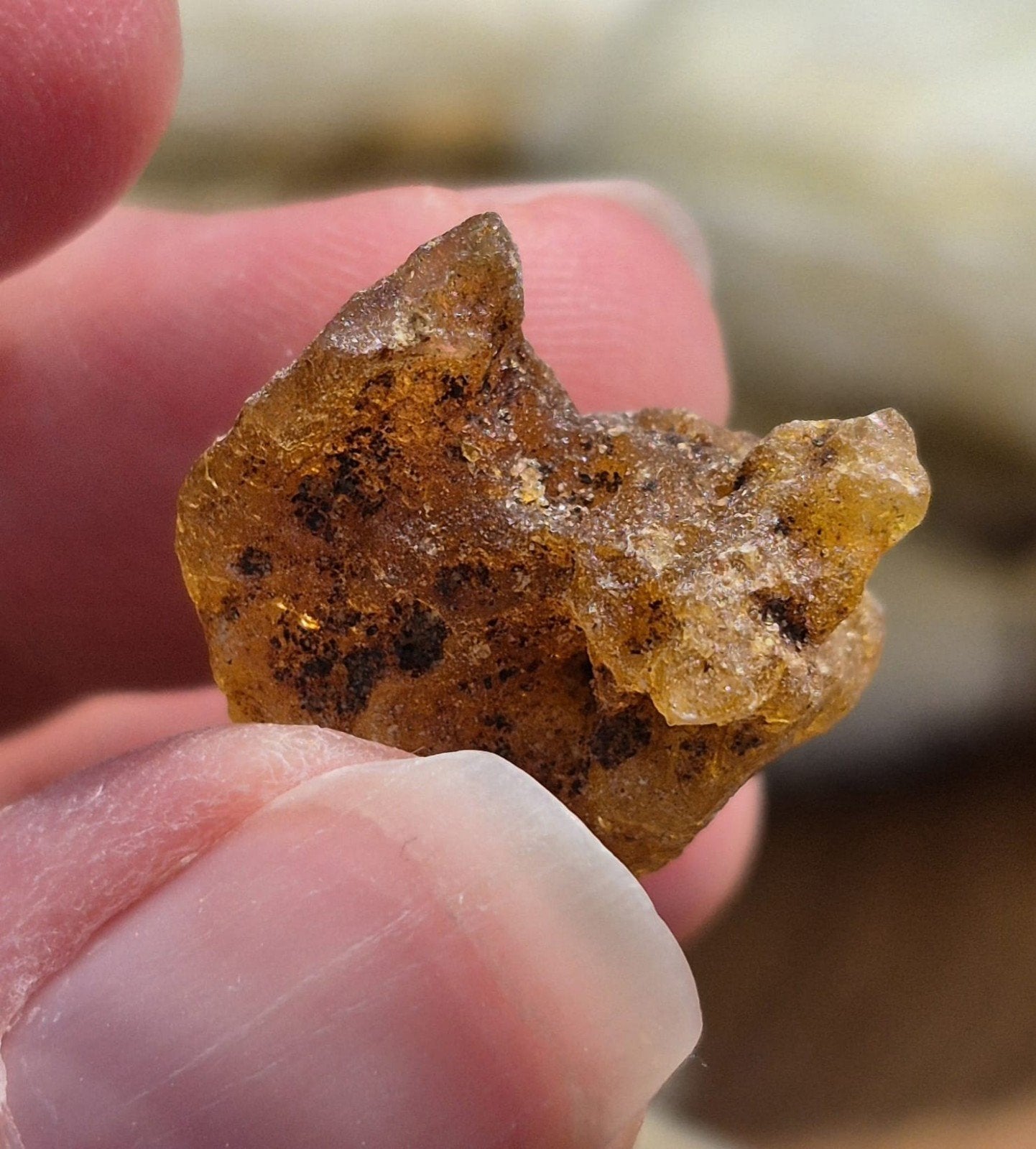 Copal/ Jonge Amber, Ophalen of Verzenden