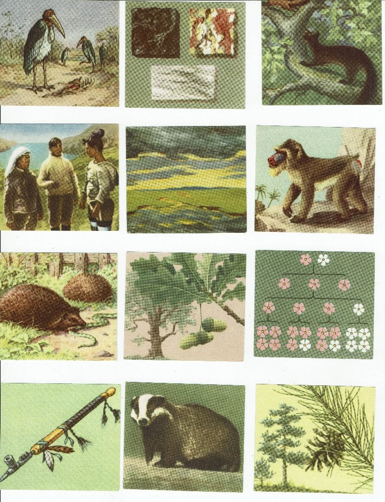12 plaatjes Blue Band Encyclopedie ‘Ik Weet Het’., Ophalen of Verzenden, Zo goed als nieuw