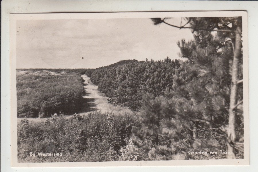 Texel, Bij Westerslag, Ophalen of Verzenden, 1940 tot 1960, Gelopen, Waddeneilanden