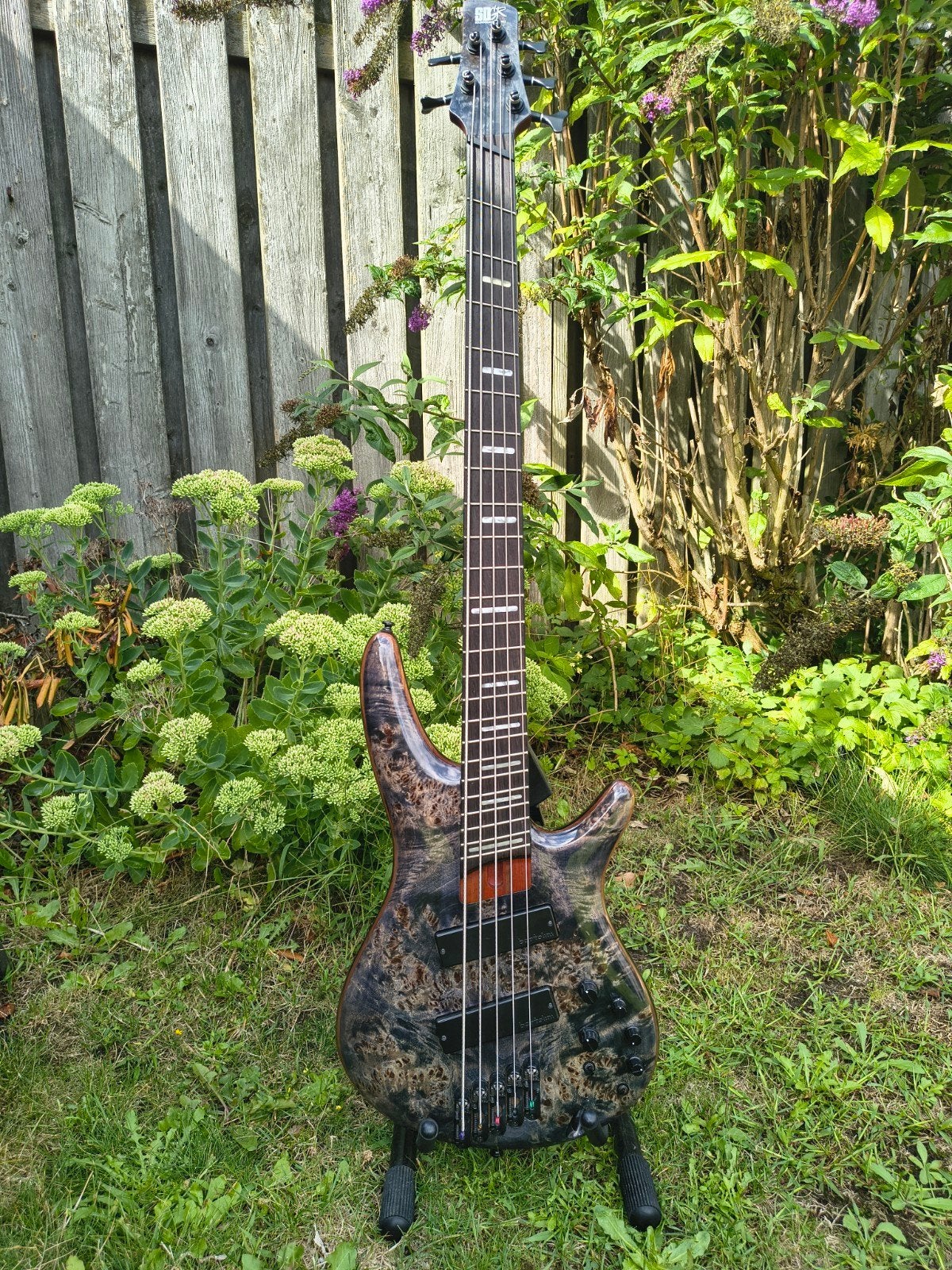 Ibanez SRMS805-DTW Workshop, Ophalen, Zo goed als nieuw, Elektrisch, 5-snarig