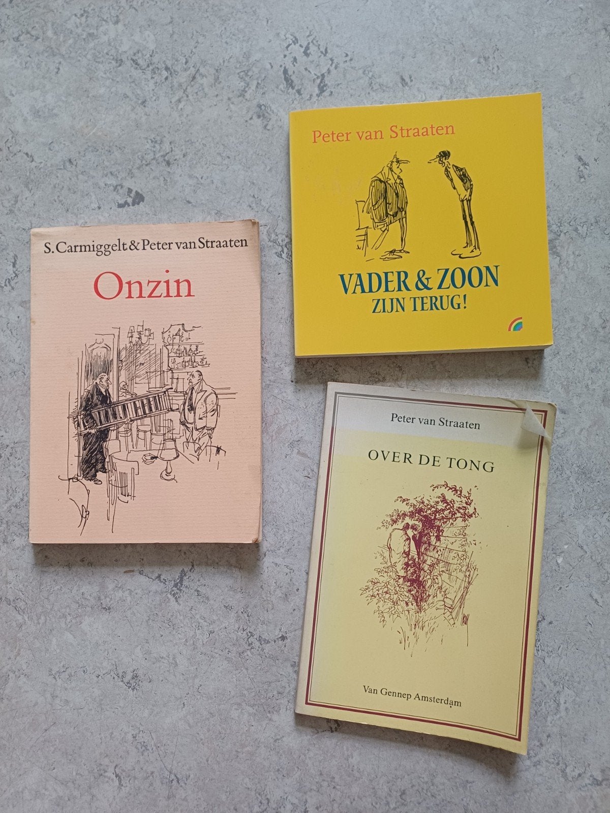 Peter van Straaten: Onzin, Vader & Zoon, Over d, Boeken, Ophalen of Verzenden, Gelezen, Peter van Straaten, Nederland