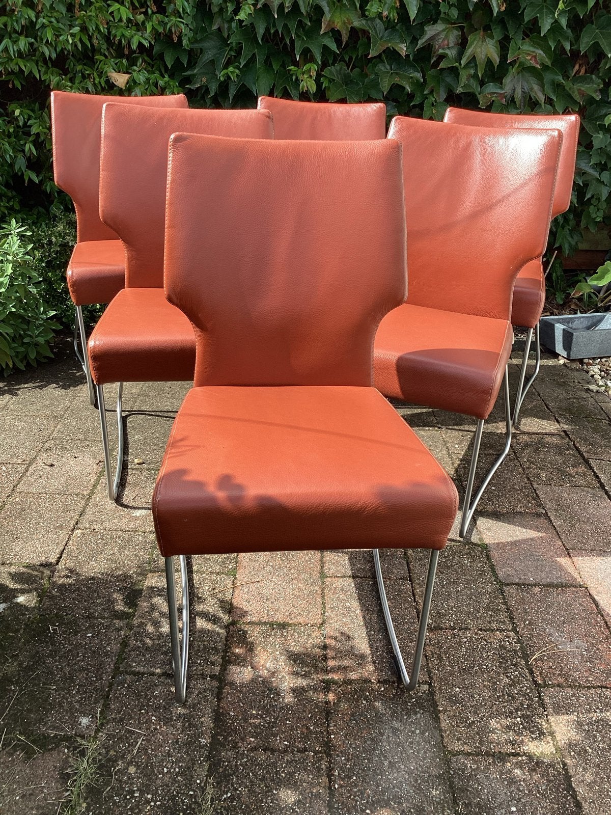 6 Bert Plantagie Joni eetkamerstoelen sledemodel, Ophalen, Modern design, Gebruikt, Bruin