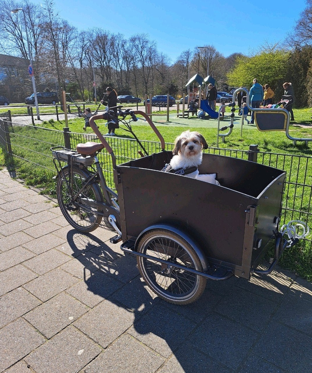 Elektrische bakfiets, Ophalen of Verzenden, Gebruikt, Goederen, Huif