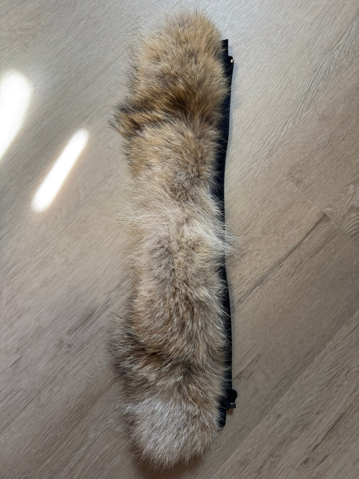 Originele Canada Goose heren jas bontkraag Xs, Ophalen of Verzenden, Zo goed als nieuw, Maat 46 (S) of kleiner, Blauw