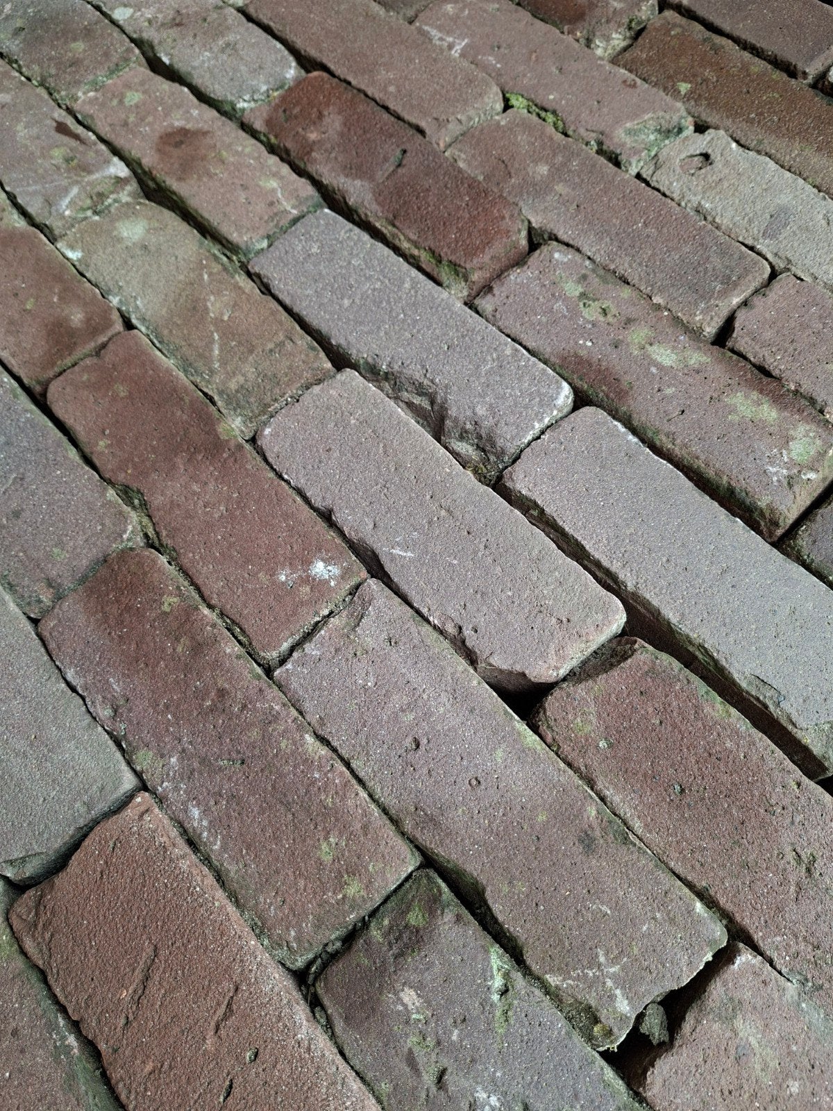 60m2 gebakken dikformaat rood op pallets, Tuin en Terras, Tegels en Klinkers, Ophalen, Keramiek, Klinkers