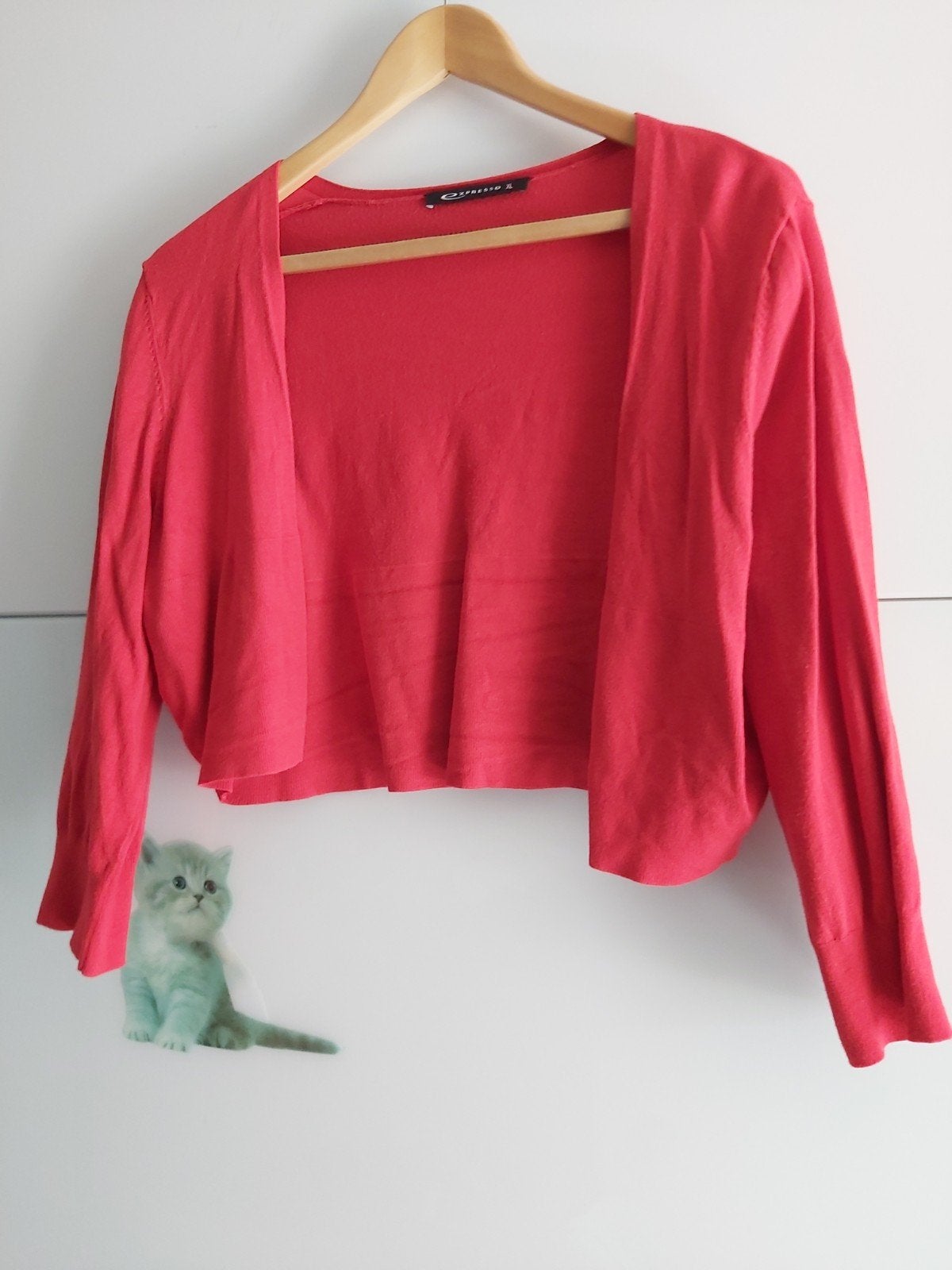 Expresso rood bolero vestje, Expresso, Maat 42/44 (L), Ophalen of Verzenden, Zo goed als nieuw