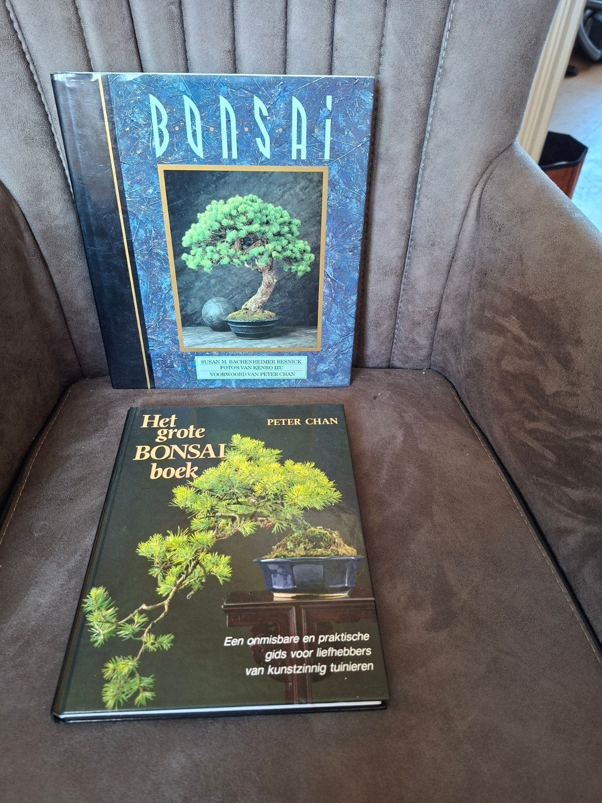2 Bonsai boeken: Het grote Bonsai boek & Bonsai, Boeken, Ophalen of Verzenden, Zo goed als nieuw, Overige onderwerpen, Peter Chan, Susan M. Bachschmid-Rosnick