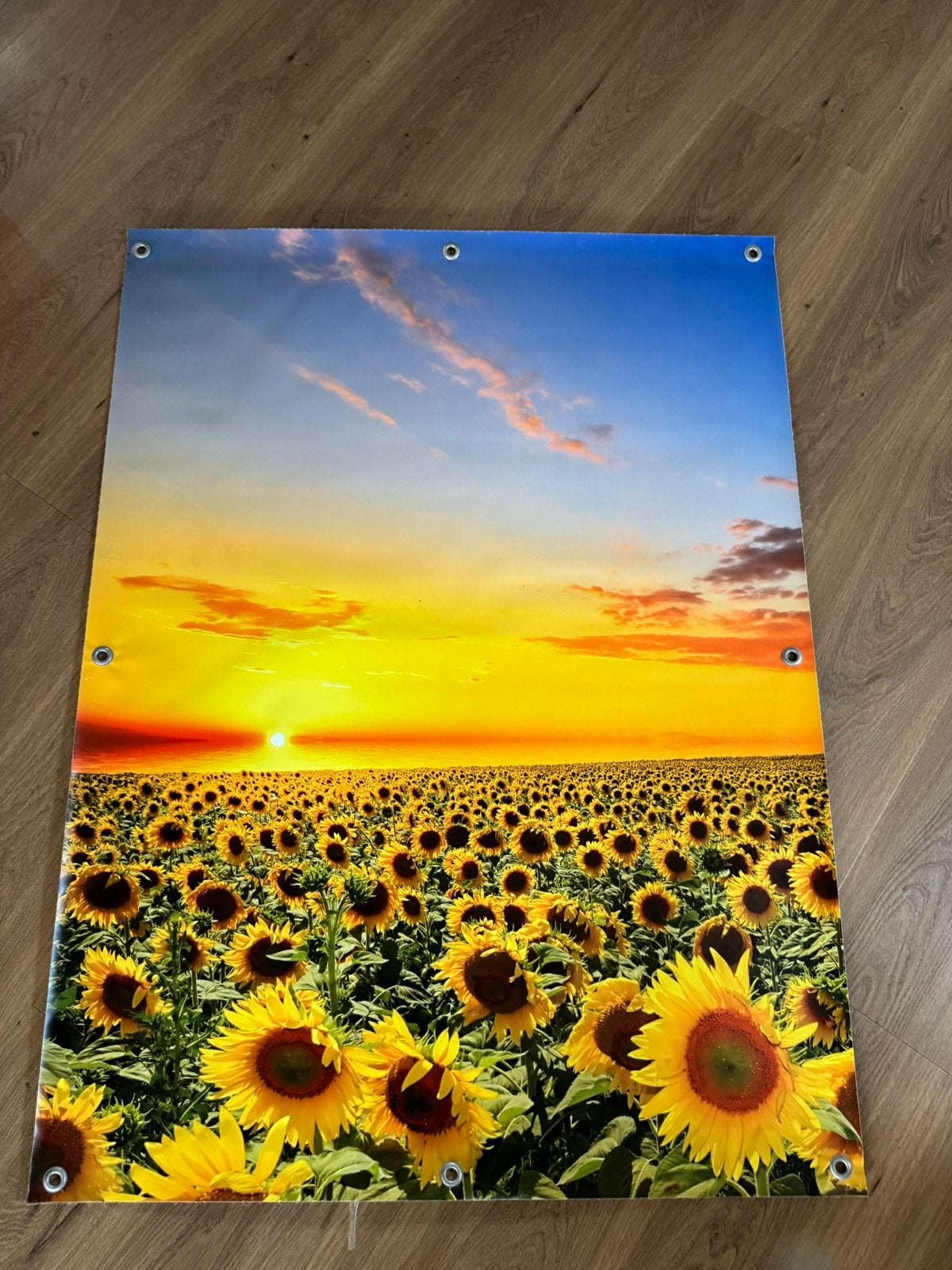 Nieuwe tuinposter met zonnebloemen, Tuin en Terras, Ophalen of Verzenden, Nieuw