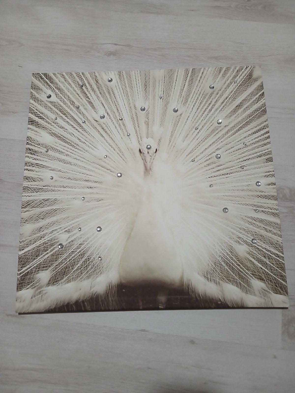 witte pauw op canvas, Antiek en Kunst, Kunst | Schilderijen | Abstract, Ophalen