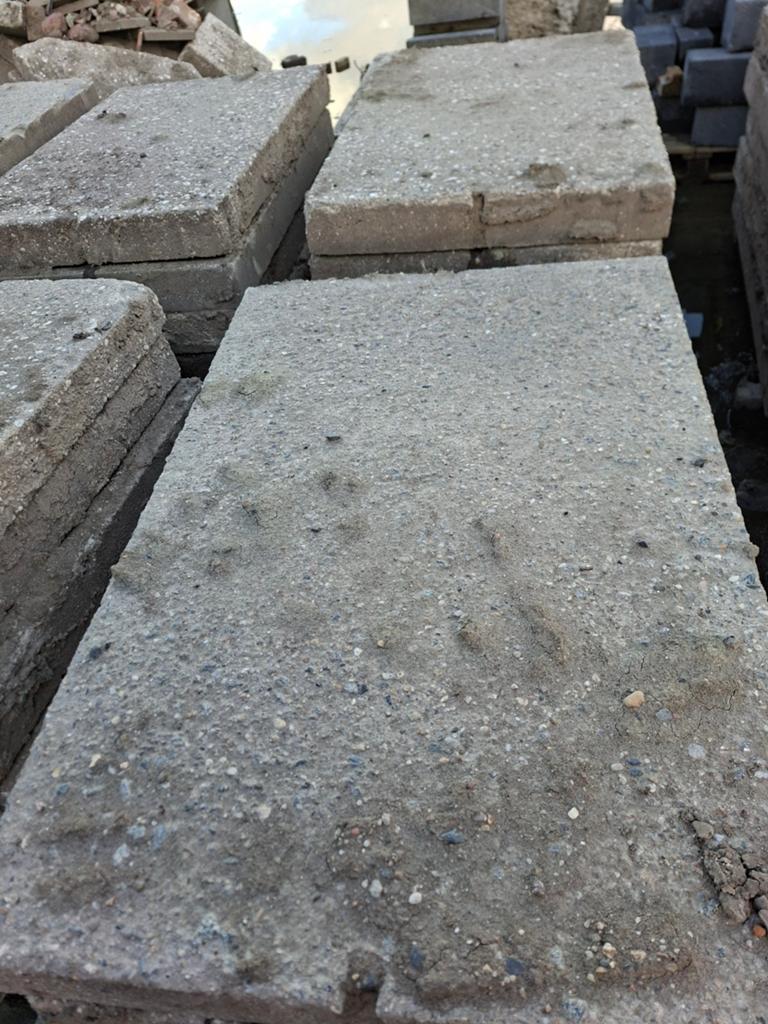 Agri betonplaten 120x80x12, Tuin en Terras, Tegels en Klinkers, Ophalen, Gebruikt, Overige typen, 10 m² of meer