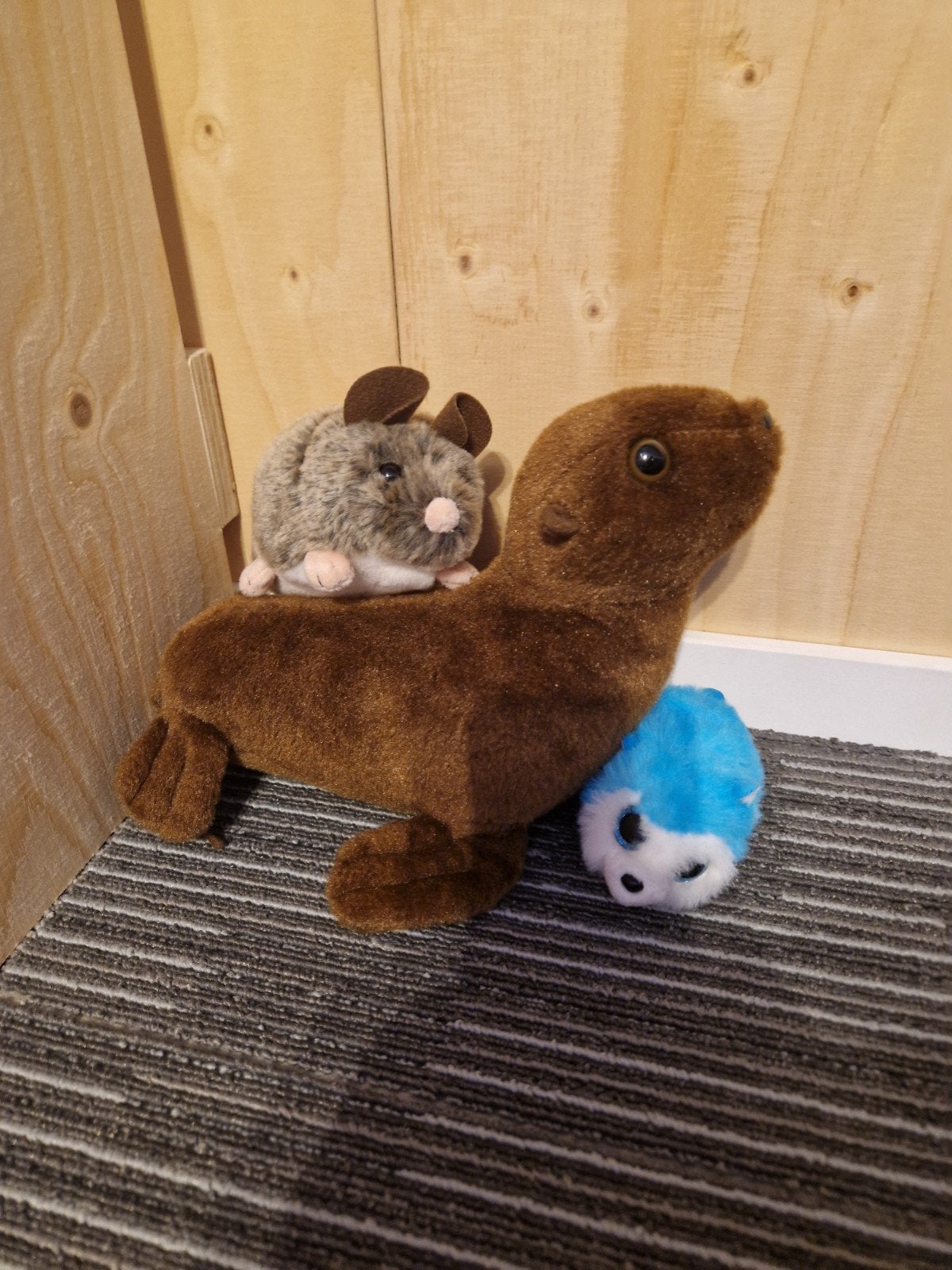 Leuke knuffels: zeehond, muis en egel (Ty Slush), Ophalen, Muis, Overige merken, Overige karakters