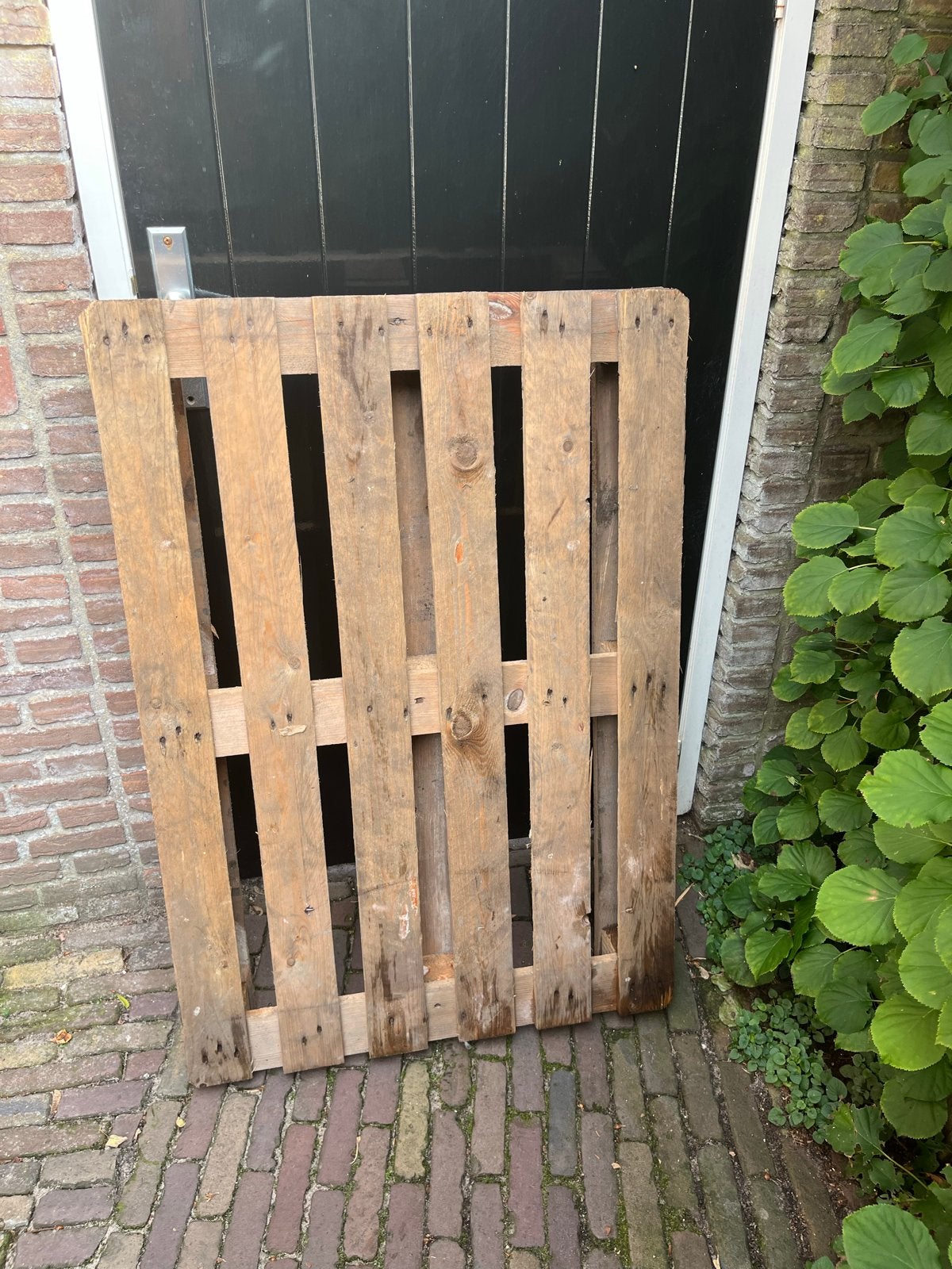 Gebruikte houten pallet gratis, Doe-het-zelf en Verbouw, Ophalen, Gebruikt, 50 mm of meer, Pallet