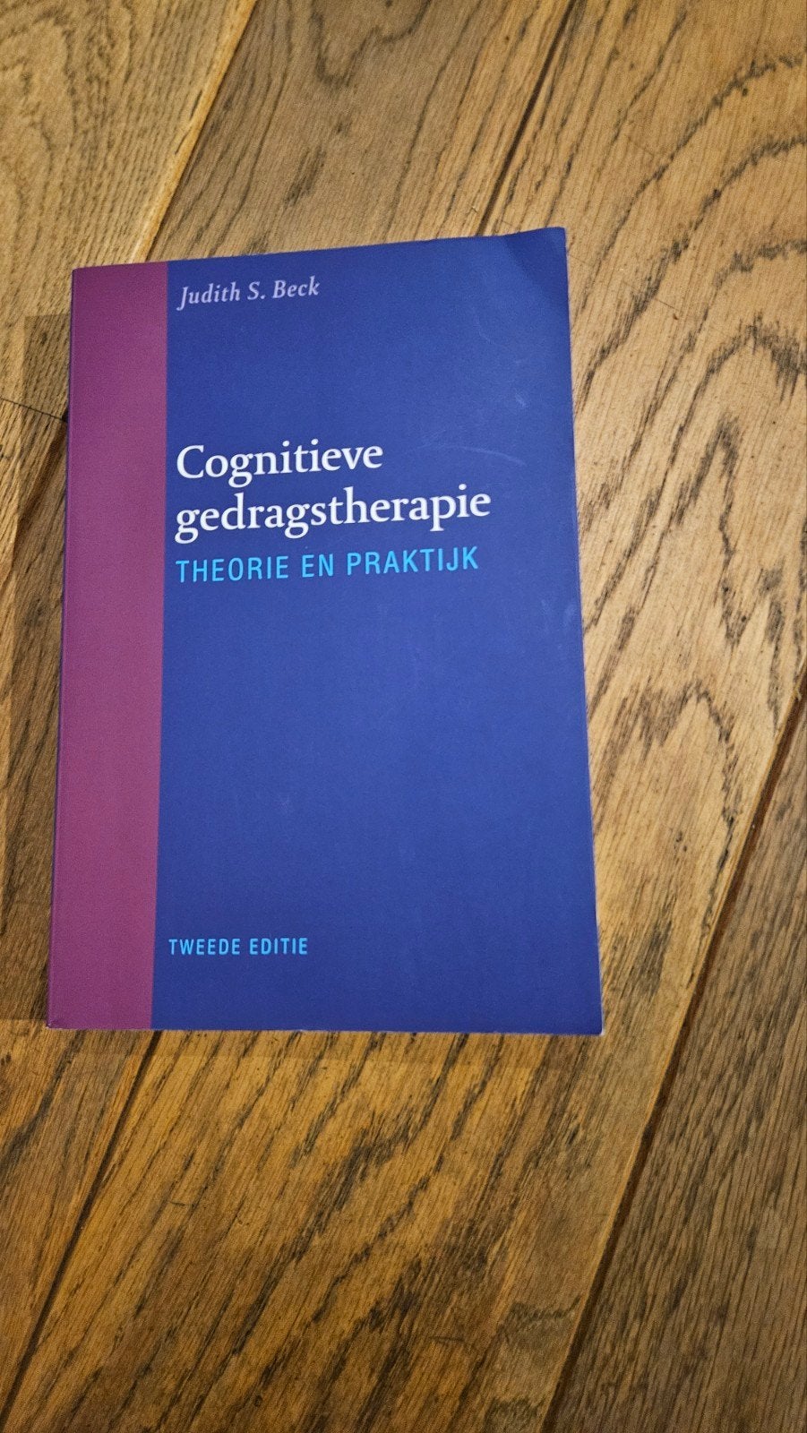 Cognitieve gedragstherapie: Theorie en Praktijk (2e editie), Judith S. Beck, Zo goed als nieuw, Gamma, HBO