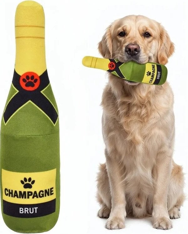 16-delige honden verjaardags set, Overige typen, Struikheide 64 3069lj,Rotterdam, Nieuw, Ophalen of Verzenden