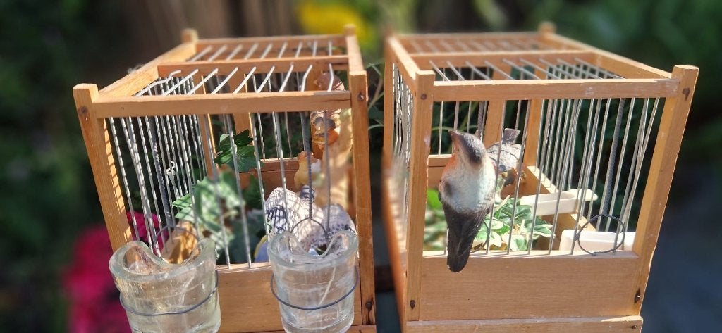 Super leuke(en mooie)vogelkooitjes voor decoratie (brocante), Dieren en Toebehoren, Vogels | Hokken en Kooien, Ophalen of Verzenden