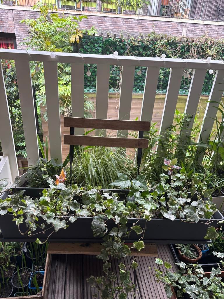 Grote bloembak van 80cm met klimop voor balkon of tuin, Ophalen, Zo goed als nieuw