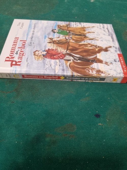 boek romana en ragebol een zomer op de stoeterij, Boeken, Ophalen of Verzenden