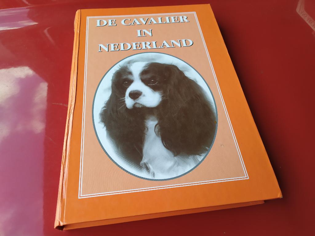 De Cavalier in Nederland, Ophalen of Verzenden, Gelezen, Honden