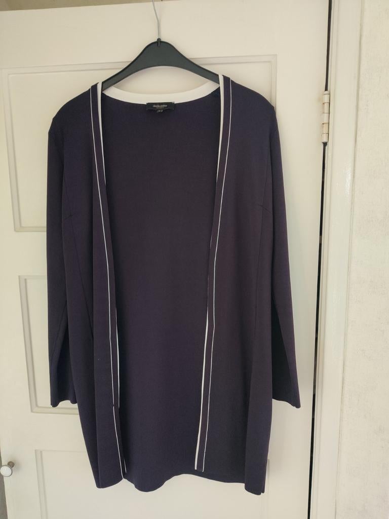 Claudia Sträter vest maat 38, Maat 38/40 (M), Blauw, Ophalen of Verzenden, Zo goed als nieuw