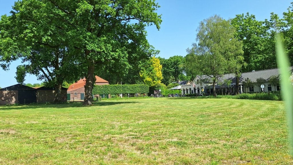 wei, weide, stal, dierenweide, Ophalen
