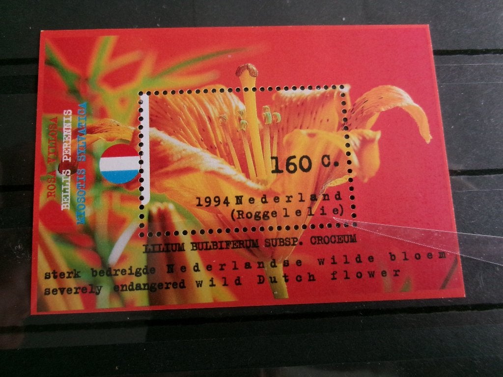 1994 - pf blok roggelelie (342g), Verzenden, Postfris