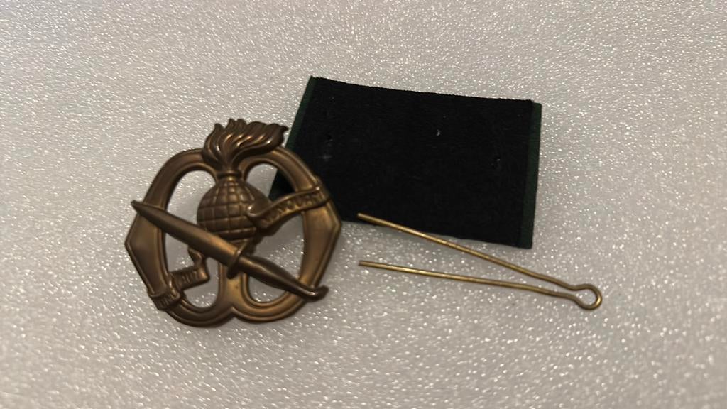KCT baret embleem (oogjes direct), Ophalen of Verzenden, Landmacht, Nederland, Embleem of Badge