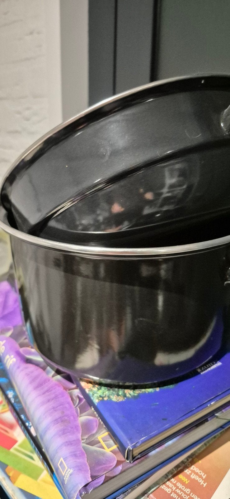 2x Mosselpan pannen met deksel, Ophalen, Overige materialen, Gebruikt, Geschikt voor inductie